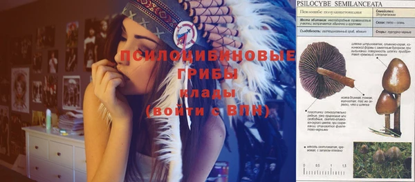 амфетамин Зерноград