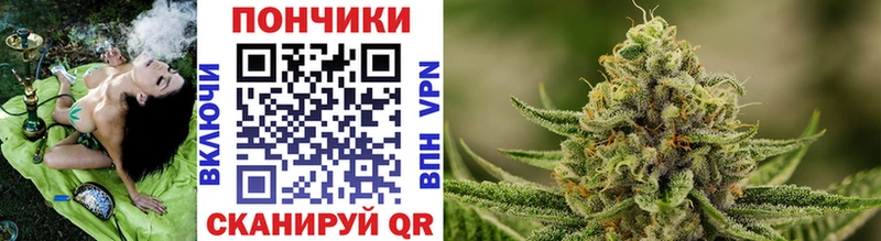 Конопля марихуана  Черноголовка 